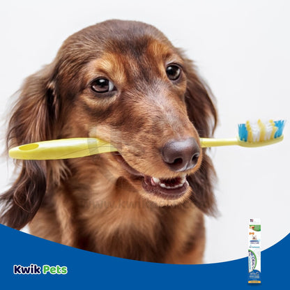 Nylabone Advanced Oral Care Natural Toothpaste Peanut Flavor, 2.5 oz - Kwik Pets