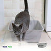 Petmate Stay Fresh Cat Litter Pan Assorted Colors Small - Kwik Pets