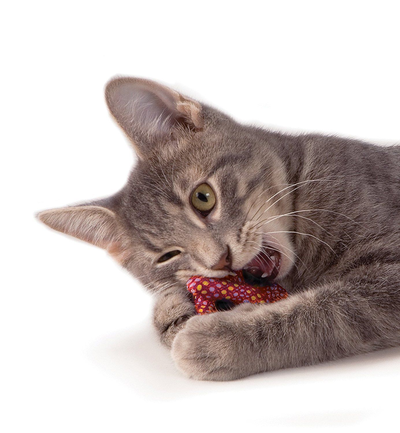 Petstages Plaque-Away Pretzel Catnip Toy - Kwik Pets