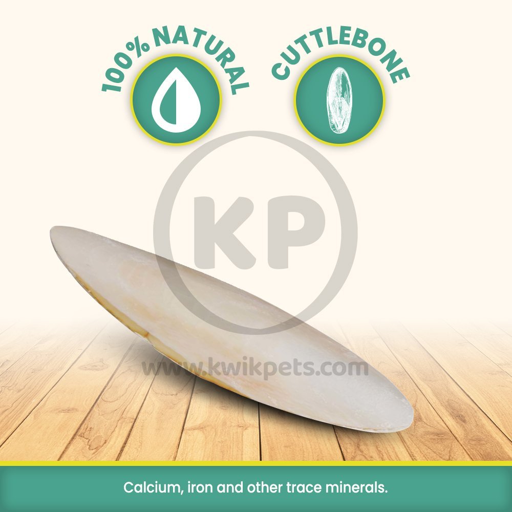 Prevue Pet Products Cuttlebone Natural, 6 in, LG, 1 pk - Kwik Pets