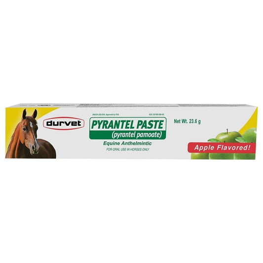 Pyrantel Paste Horse Dewormer 23.6gm - Kwik Pets