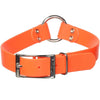 Remington® Waterproof Hound Dog Collar with Center Ring Orange 1in X 22in - Kwik Pets