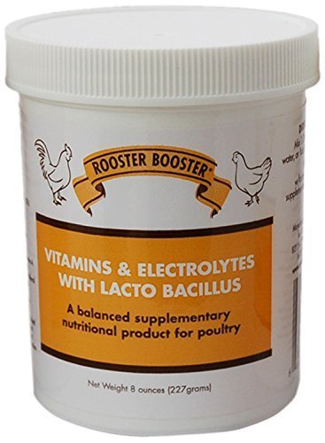 Rooster Booster Vitamins & Electrolytes with Lacto 8oz - Kwik Pets