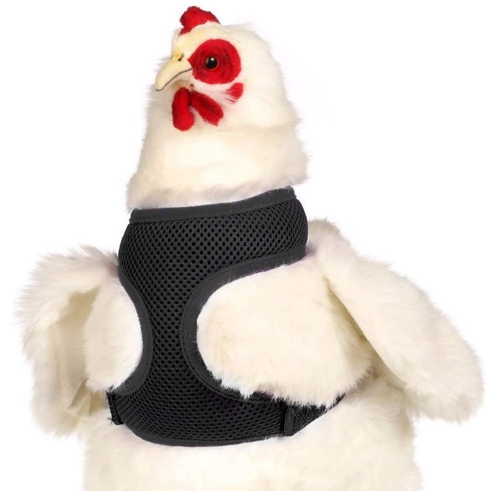 Valhoma Chicken Harness - Black Small - Kwik Pets