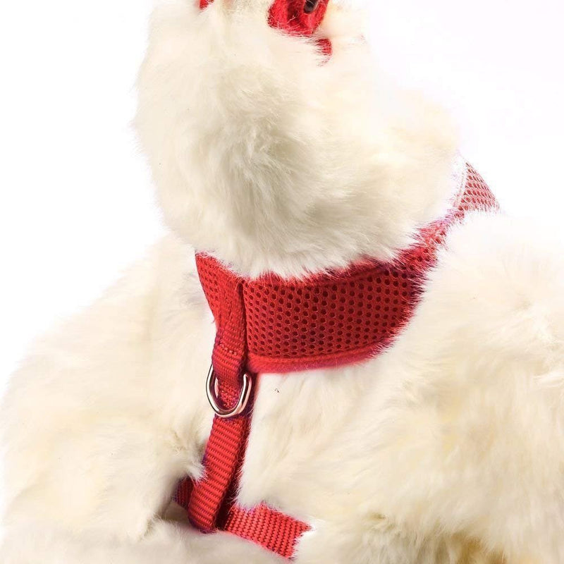 Valhoma Chicken Harness - Red Small - Kwik Pets