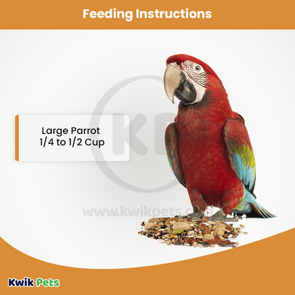 Volkman Seed Company Featherglow Large Parrot Treat 4 lb - Kwik Pets