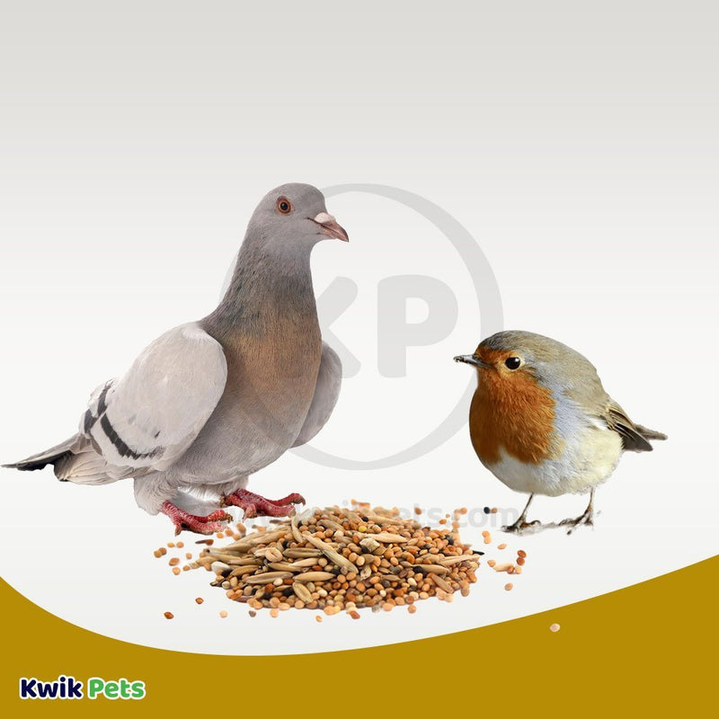 Volkman Seed Company Premium Wild Bird Garden Mix Bird Food, 5 lb - Kwik Pets