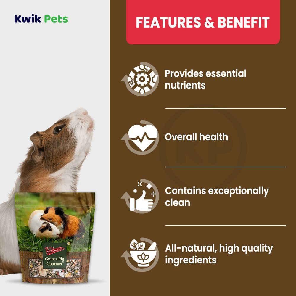 Volkman Seed Company Small Animal Guinea Pig Gourmet Dry Food, 4 lb - Kwik Pets