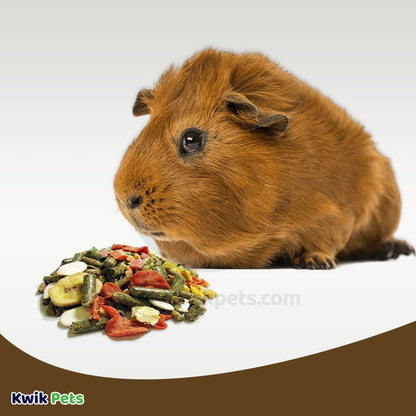 Volkman Seed Company Small Animal Guinea Pig Gourmet Dry Food, 4 lb - Kwik Pets
