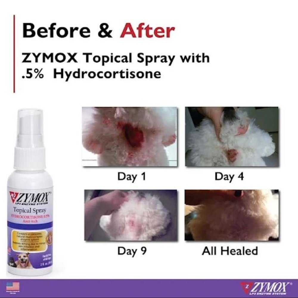 Zymox Spray w/ .5% hydrocortisone - 2 oz. bottle - Kwik Pets
